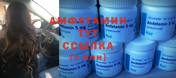 хмурый Алзамай